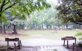 公園　都立林試の森公園（公園）まで140m