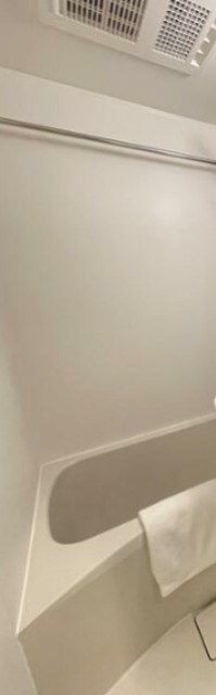 バス・シャワールーム　※モデルルーム時の写真です