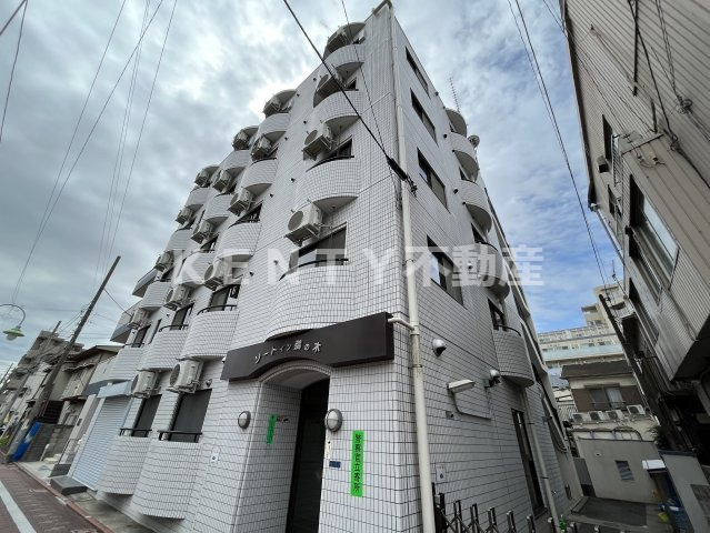 建物外観　外観です