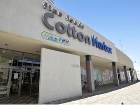スーパー　プラザ栄光生鮮館コットンハーバー店（スーパー）まで674m