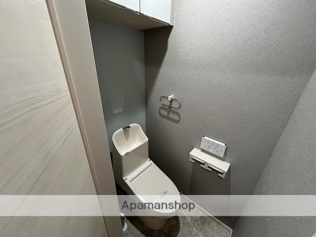 プチメゾン WANISHI2のトイレ写真