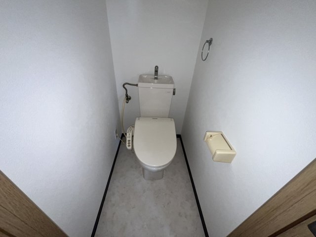 ドミール湊西のトイレ写真
