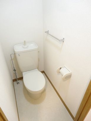 トイレ　（別タイプ参考写真）ロイヤルアメニティー巣鴨　豊島区巣鴨４
