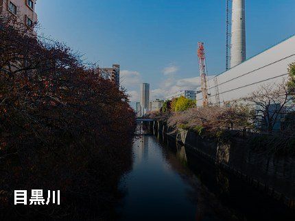 その他　目黒川（その他）まで749m