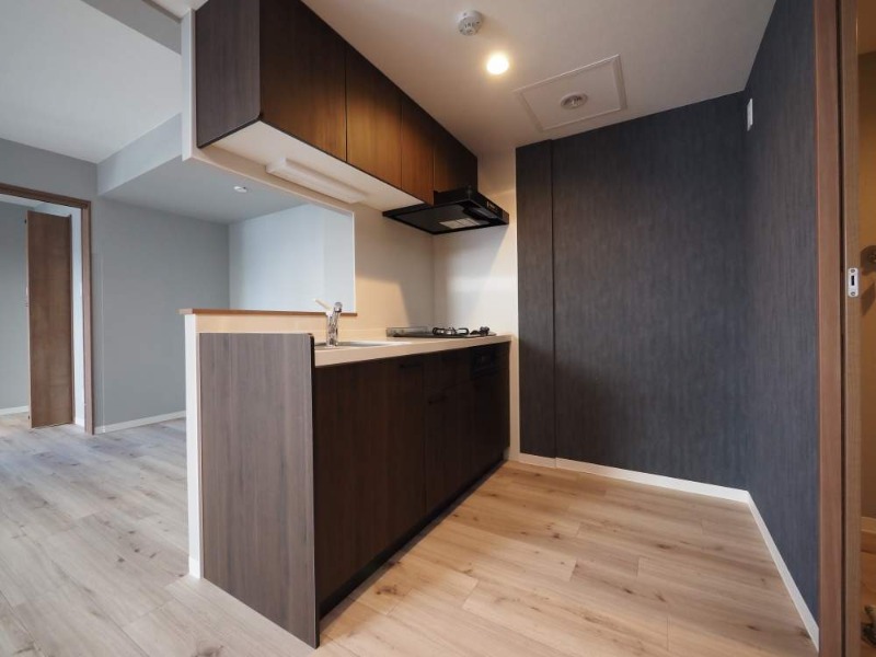 the residence 南平岸のキッチン写真