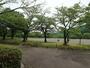 公園　城北公園（公園）まで1001m