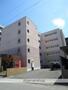 フォレスト158 5階 築43年8ヶ月の賃貸物件