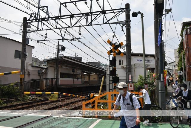 その他　柴崎駅（その他）まで272m