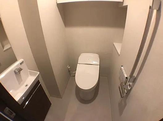 ＪＲ総武線快速 馬喰町駅 徒歩4分 12階建 築9年のトイレ写真