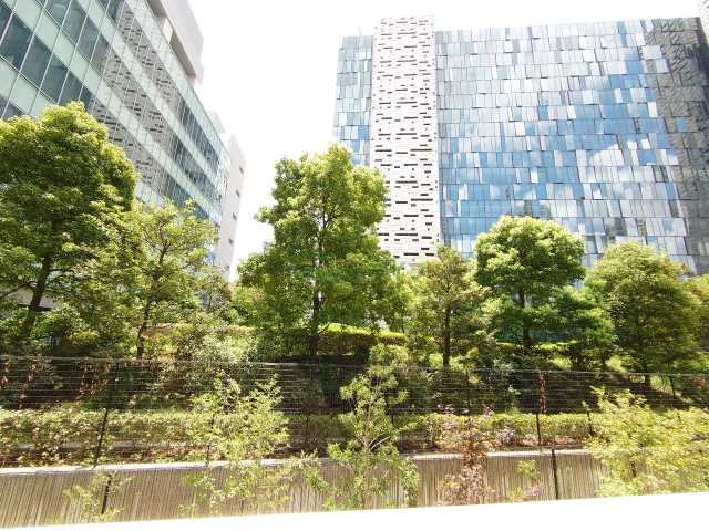 眺望　コンフォリア東新宿　※同タイプの別部屋写真です