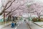 公園　横須賀市 根岸交通公園（公園）まで1191m