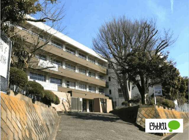 中学校　海老名市立大谷中学校（中学校）まで1151m
