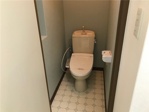 ルミノソールのトイレ写真