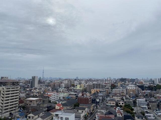 眺望