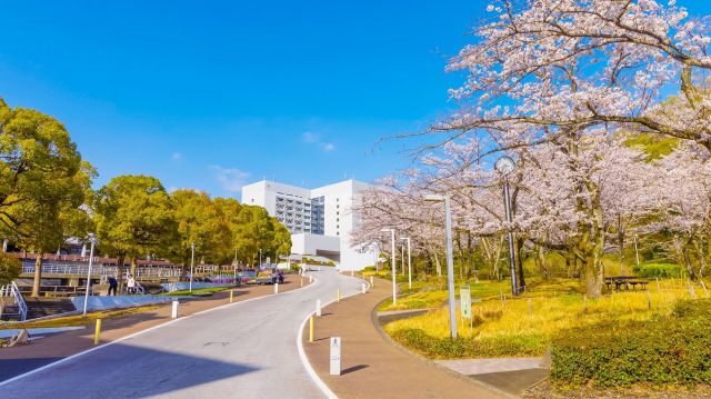 大学・短大　帝京大学八王子キャンパス（大学・短大）まで1212m