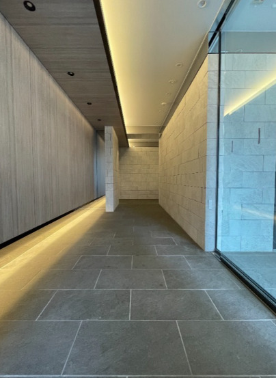 エントランス　ダーシャモリ