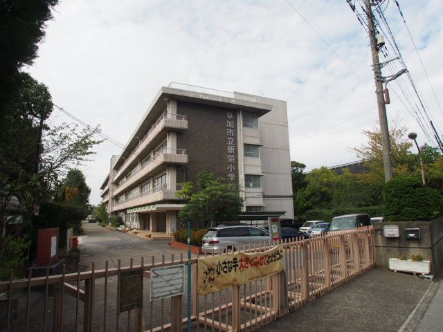 小学校　草加市立新栄小学校（小学校）まで638m