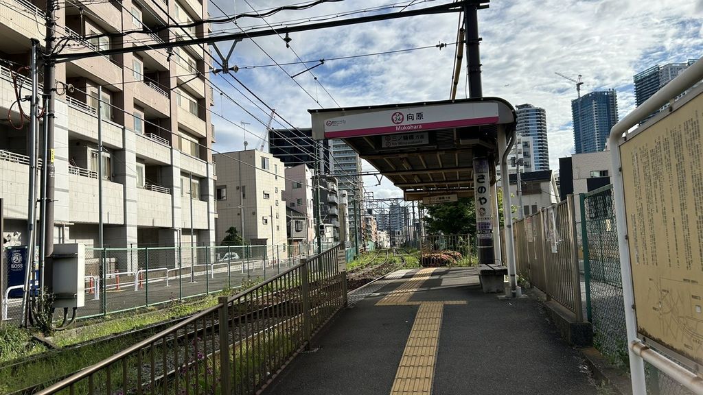 ドラックストア　どらっぐぱぱす（ドラッグストア）まで110m