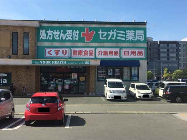 ドラックストア　セガミ薬局江津店（ドラッグストア）まで751m