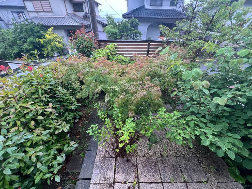 庭