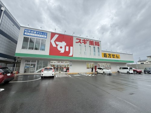 ドラックストア　スギ薬局　四日市中央店（ドラッグストア）まで780m