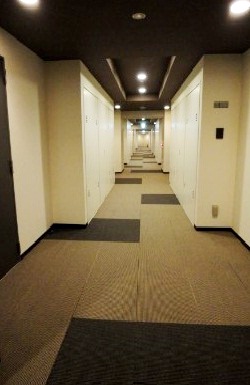 その他共有部分　ラグジュアリーな内廊下です☆