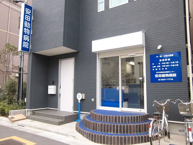 病院　安田動物病院（病院）まで514m