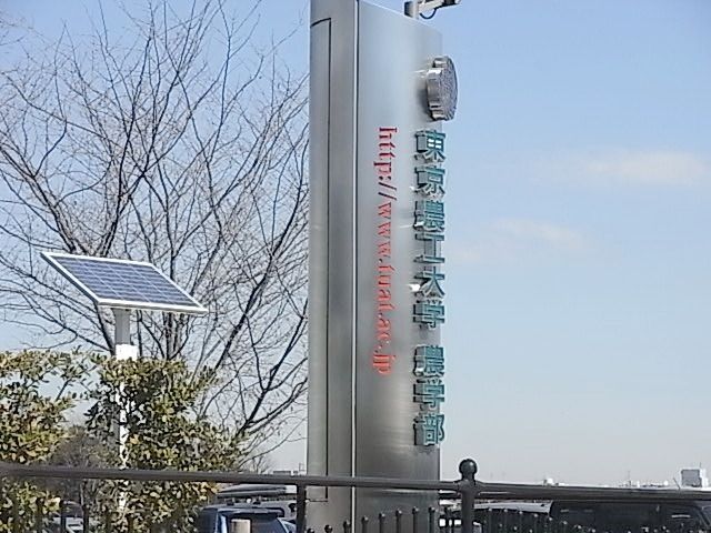 その他　東京農工大学（その他）まで700m