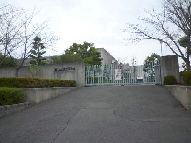 中学校　富田林市立葛城中学校（中学校）まで375m