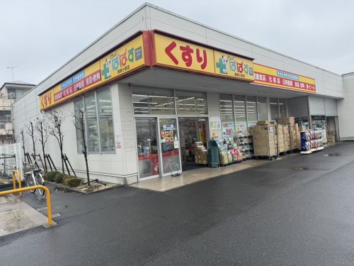 ドラックストア　どらっぐぱぱす 西新小岩店（ドラッグストア）まで1454m