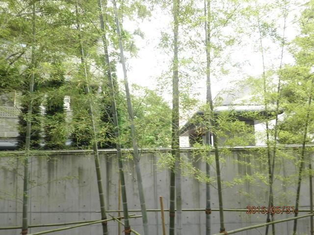 眺望　景色