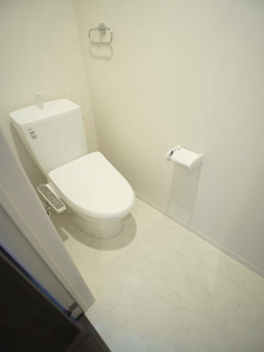ラヴィーヌ中丸のトイレ写真