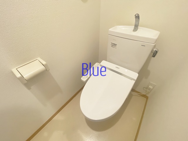 デュラカーサ ルシア富士見が丘Iのトイレ写真