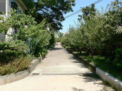 公園　高津公園（公園）まで478m