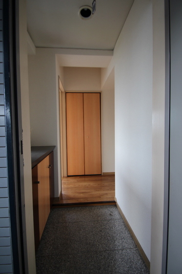 玄関　他号室写真です