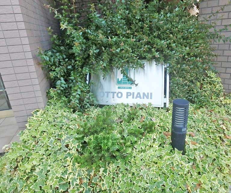 エントランス　緑に囲まれたエントランス