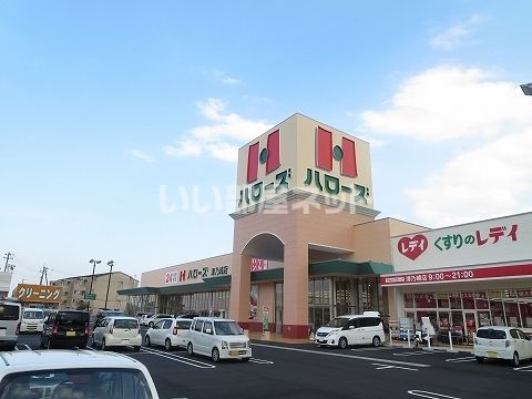 スーパー　ハローズ津乃峰店（スーパー）まで1062m
