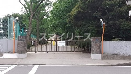 中学校　柏市立柏中学校（中学校）まで345m