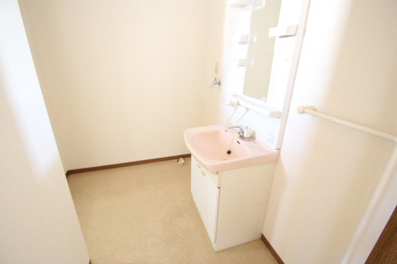洗面設備　※別号室の写真になります