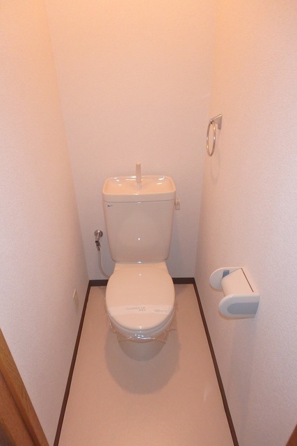 南海高野線 滝谷駅 徒歩11分 2階建 築24年のトイレ写真