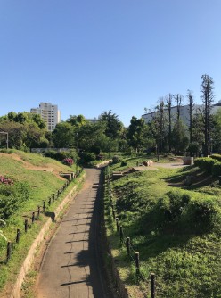 公園　都立戸山公園大久保地区（公園）まで1172m