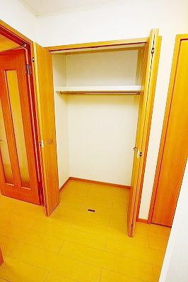 サンフラワーDのその他写真