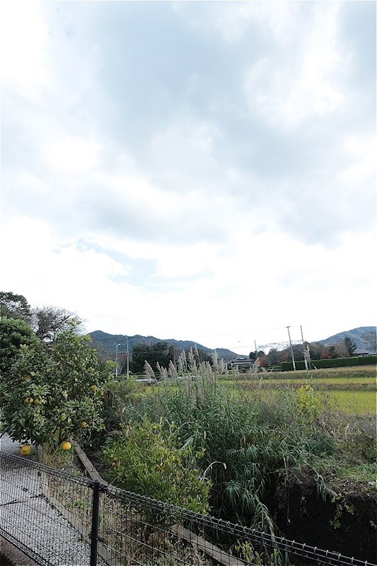 眺望　※参照※別の部屋の写真になります。
