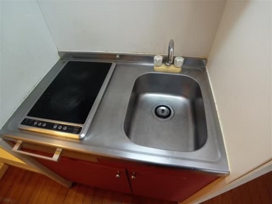 キッチン　他号室のお写真です