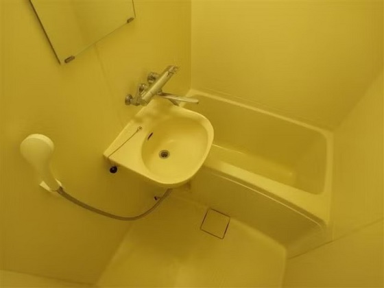 バス・シャワールーム　他号室のお写真です