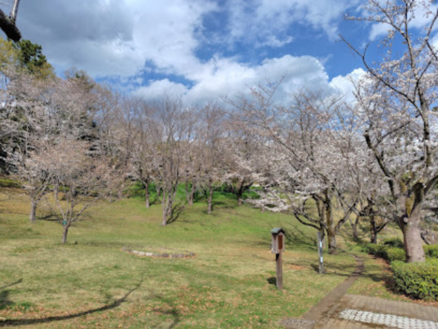 公園　からきだの道（公園）まで1049m