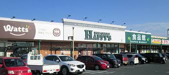 スーパー　天満屋ハピーズ 玉島店（スーパー）まで757m