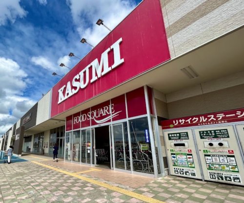 スーパー　カスミ フードスクエアライフガーデン茂原店（スーパー）まで904m