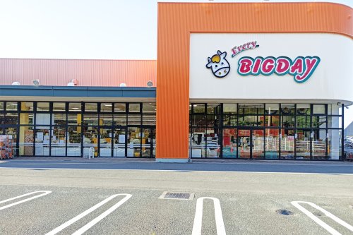 スーパー　エブリィビッグデー有玉南店（スーパー）まで616m