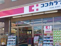 ドラックストア　ココカラファイン二子玉川店（ドラッグストア）まで720m